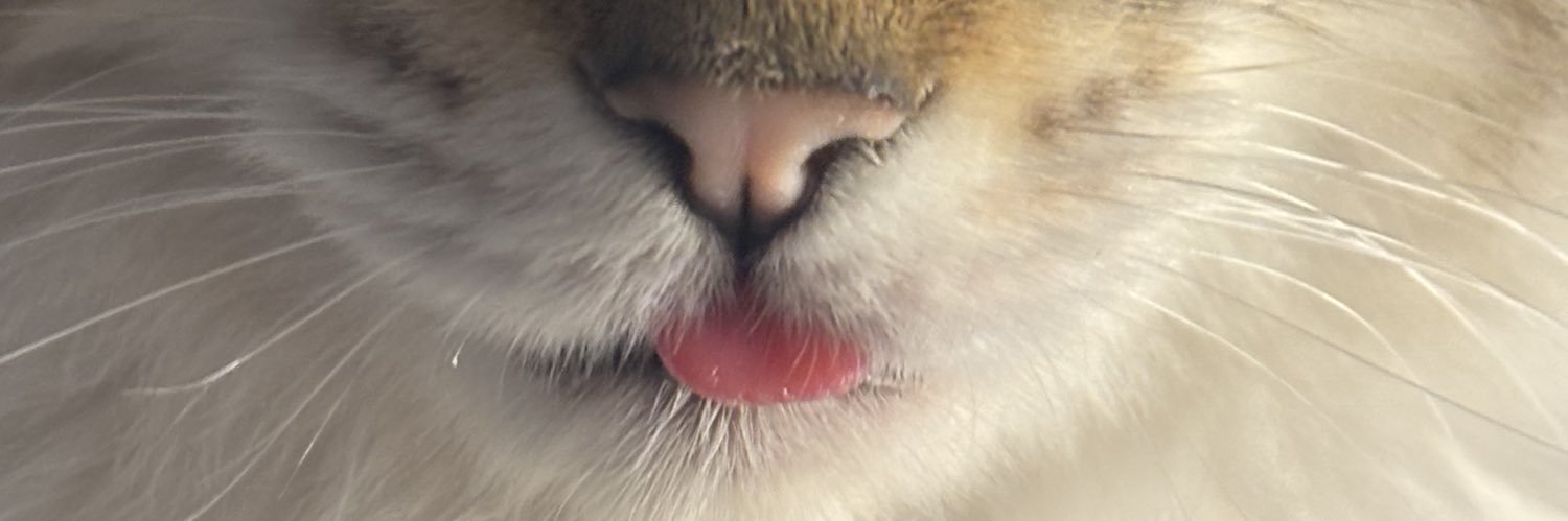 florrrdep's profile banner image