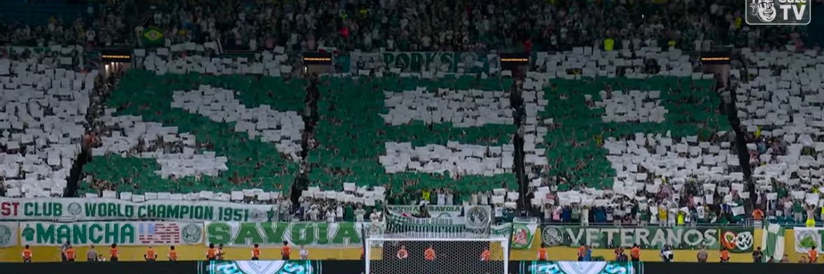 felipe ⓟ 🇵🇹 banner