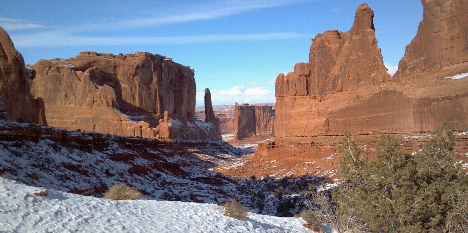 Shawn Conners banner