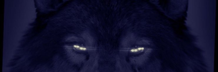 H.K banner