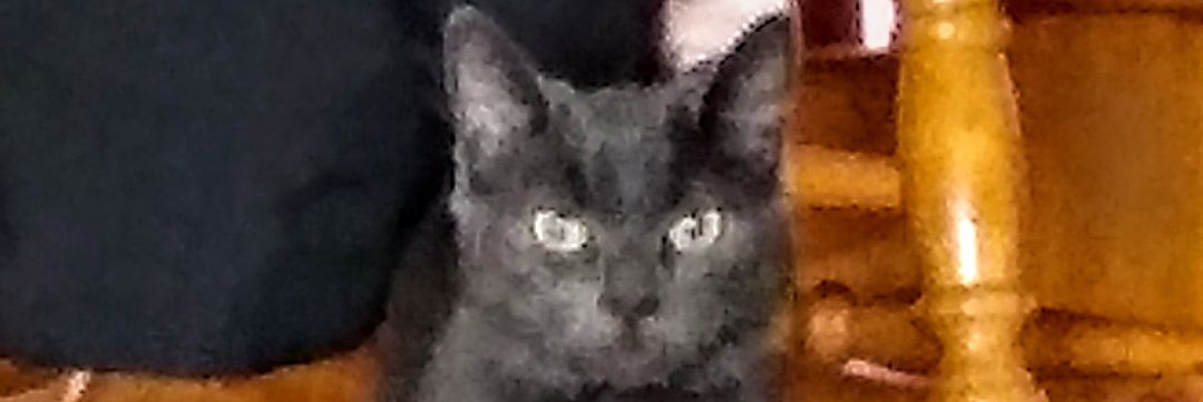 mookieDwight's profile banner image