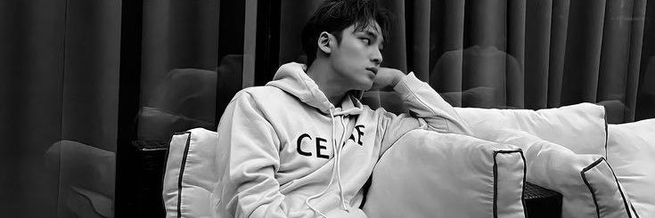 despiicablee's profile banner image