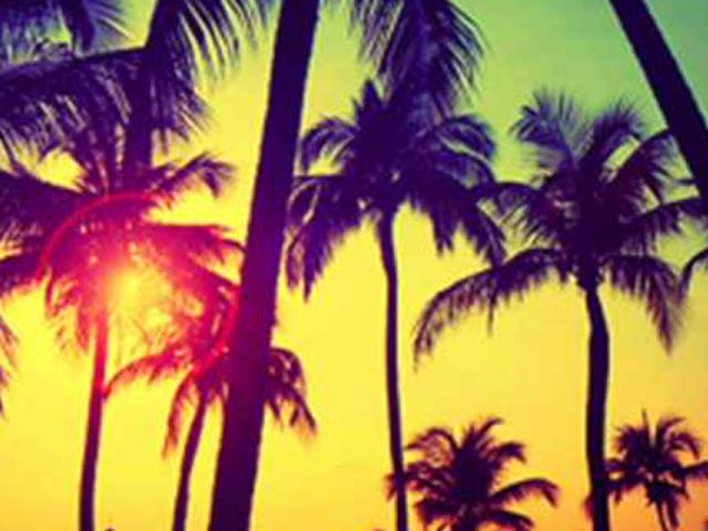Meli_Dizzle's profile banner image