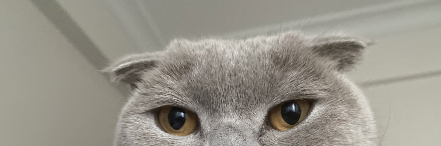 sedstu's profile banner image