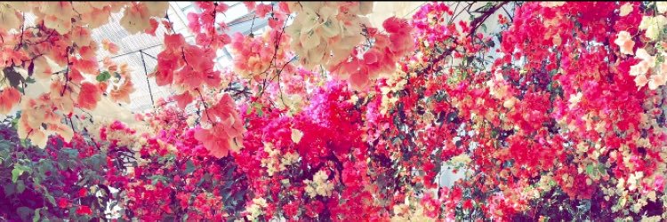 verite_xx's profile banner image