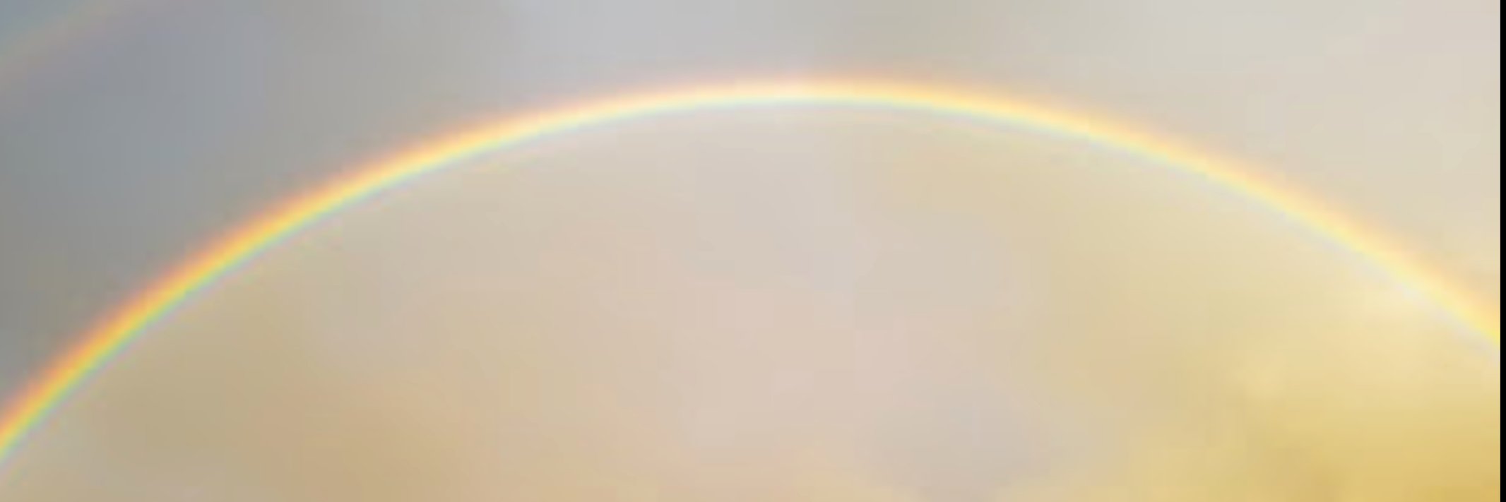 litchik's profile banner image