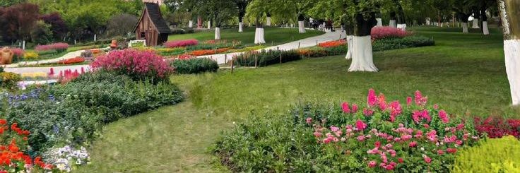 𝑝𝑜𝑟. banner
