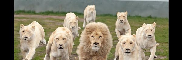 CoachKraw Profile Banner