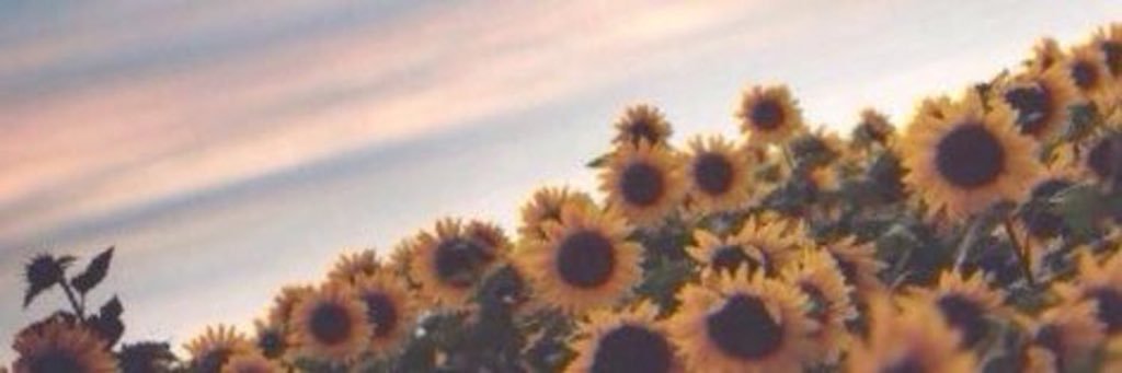 Trishaaaaay's profile banner image