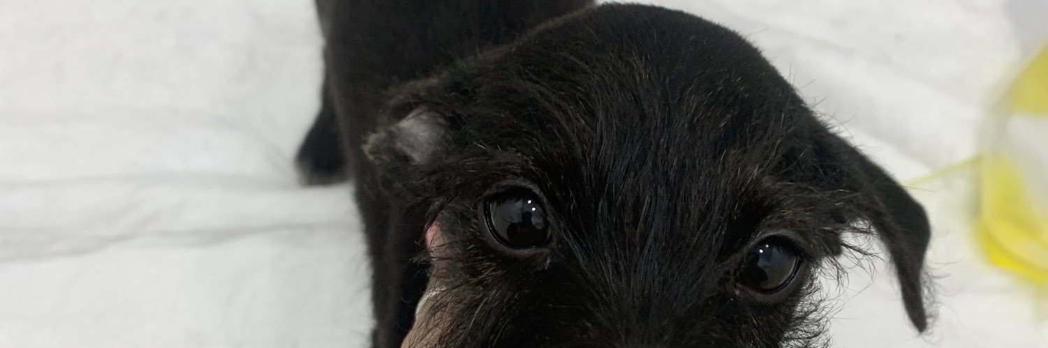 valengomeeez's profile banner image