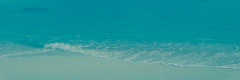 Aline Perraudin banner