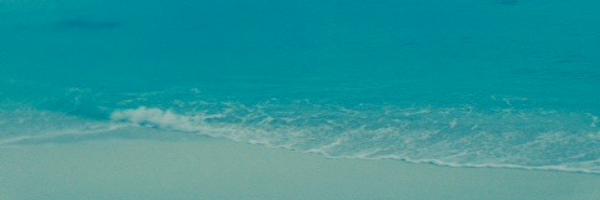 alineperraudin Profile Banner