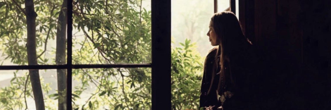 luisapecora's profile banner image