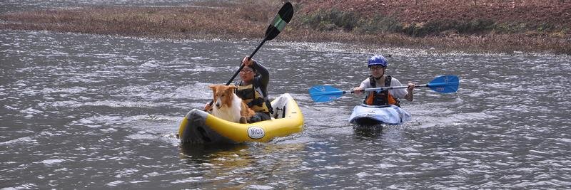 foolfish00819 banner