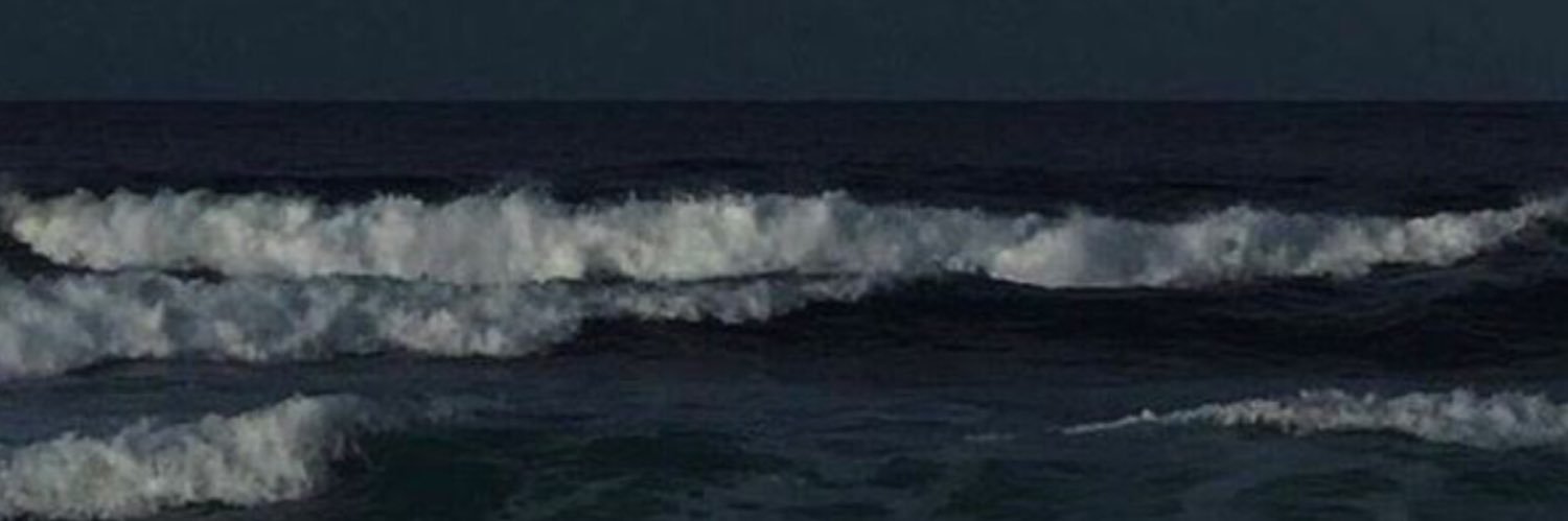 tubaaleynaa's profile banner image