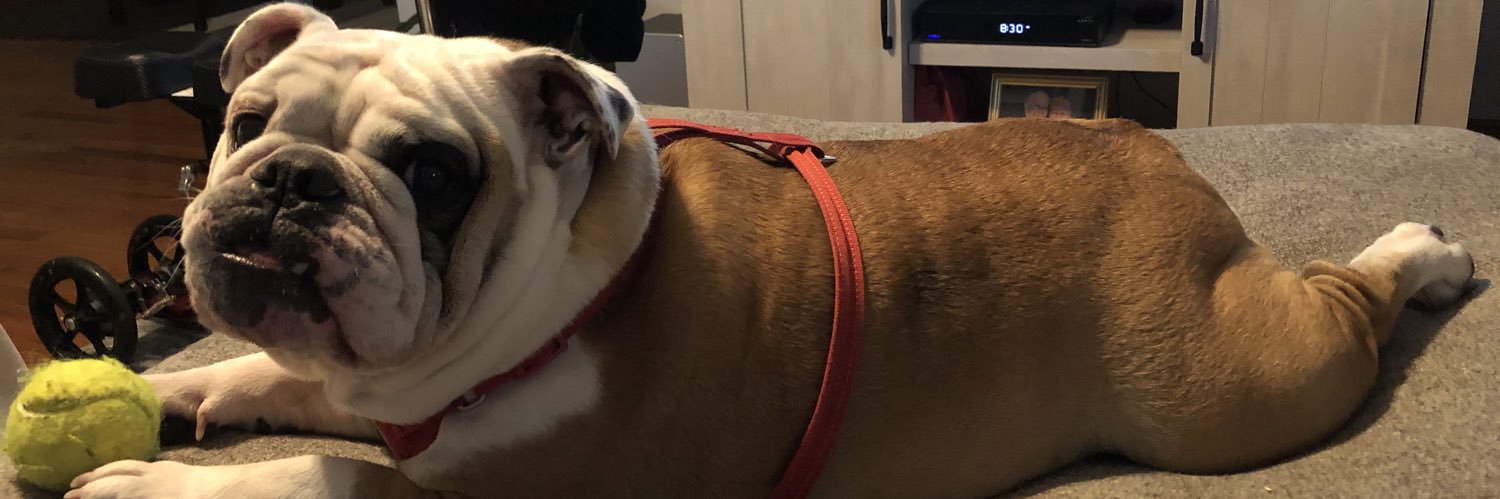 Jacob Morrison banner