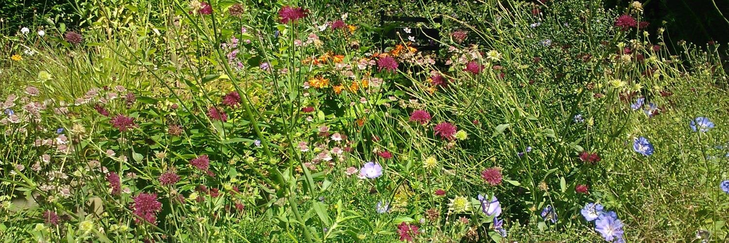 James Munro (@jamesfm55.bsky.social) banner