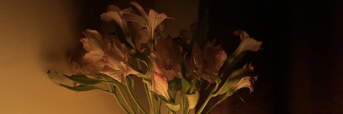greatkaya's profile banner image