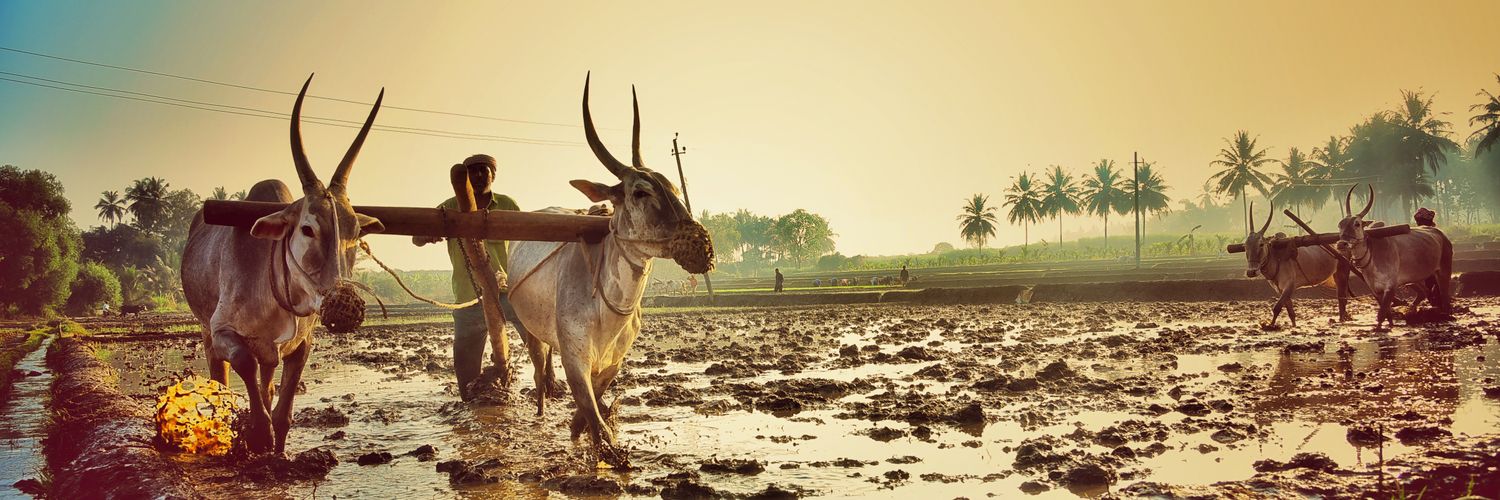 pradeepgs5's profile banner image