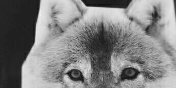 KokyTb's profile banner image
