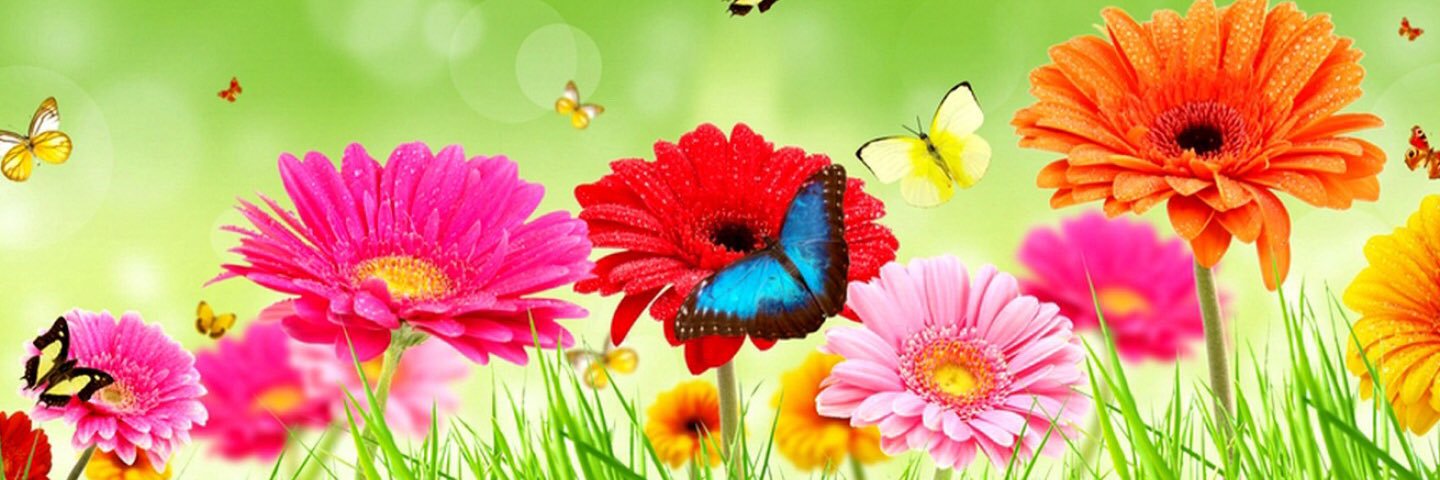 itsmenurji's profile banner image