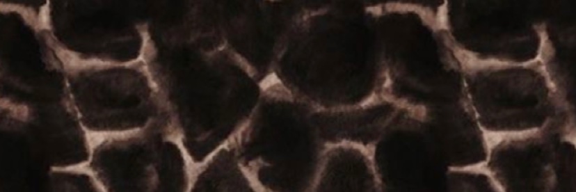 jvd5986's profile banner image