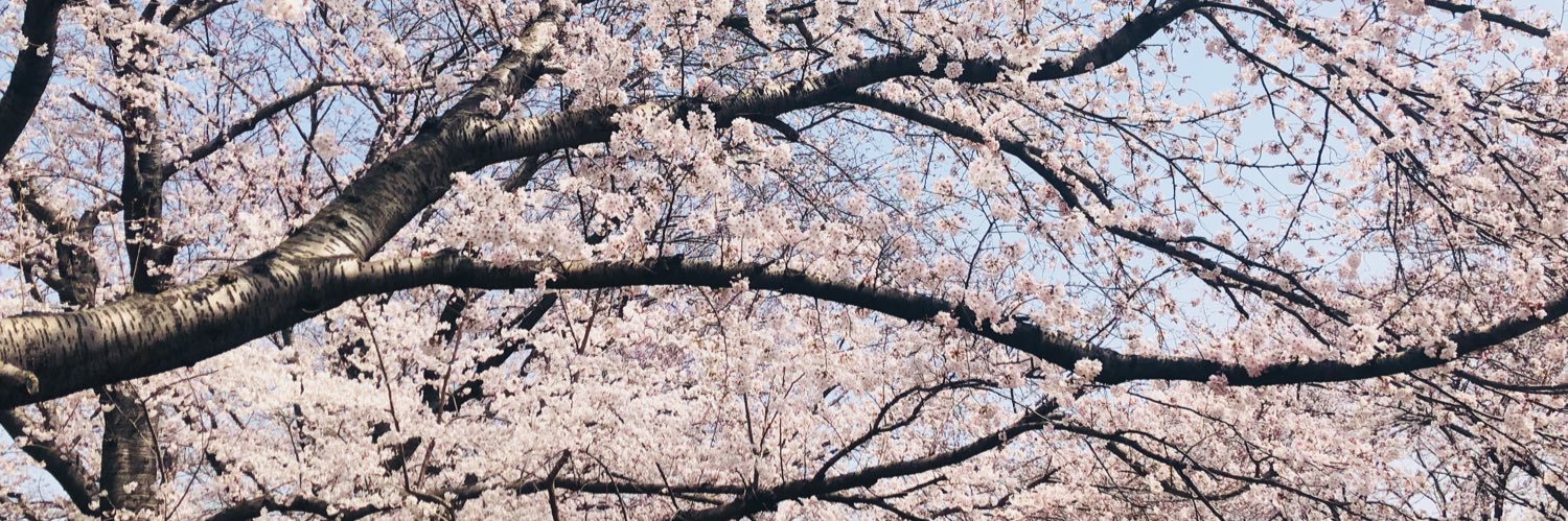 meseashell's profile banner image