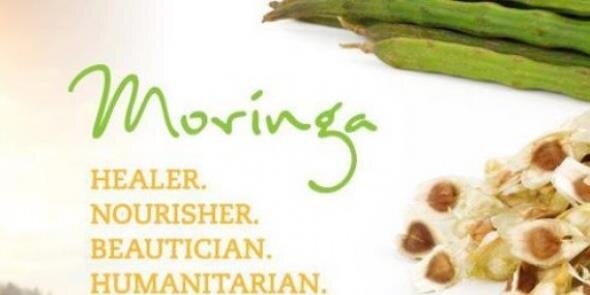 MoringaNow's profile banner image