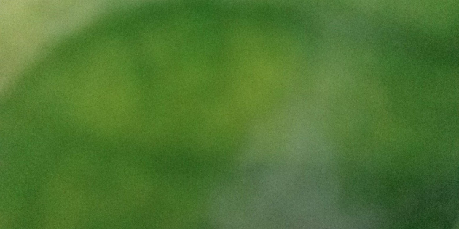 Heivink's profile banner image