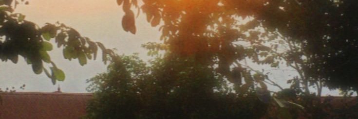 im_chucee's profile banner image