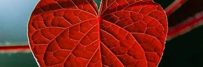 alemora1967's profile banner image