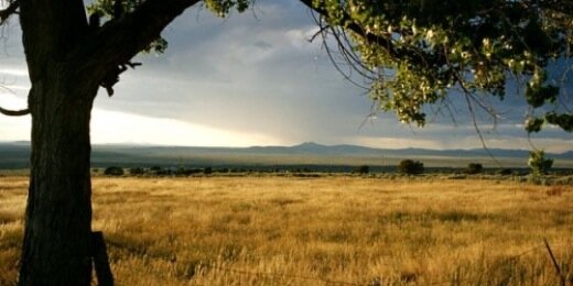LebanonWildlife's profile banner image