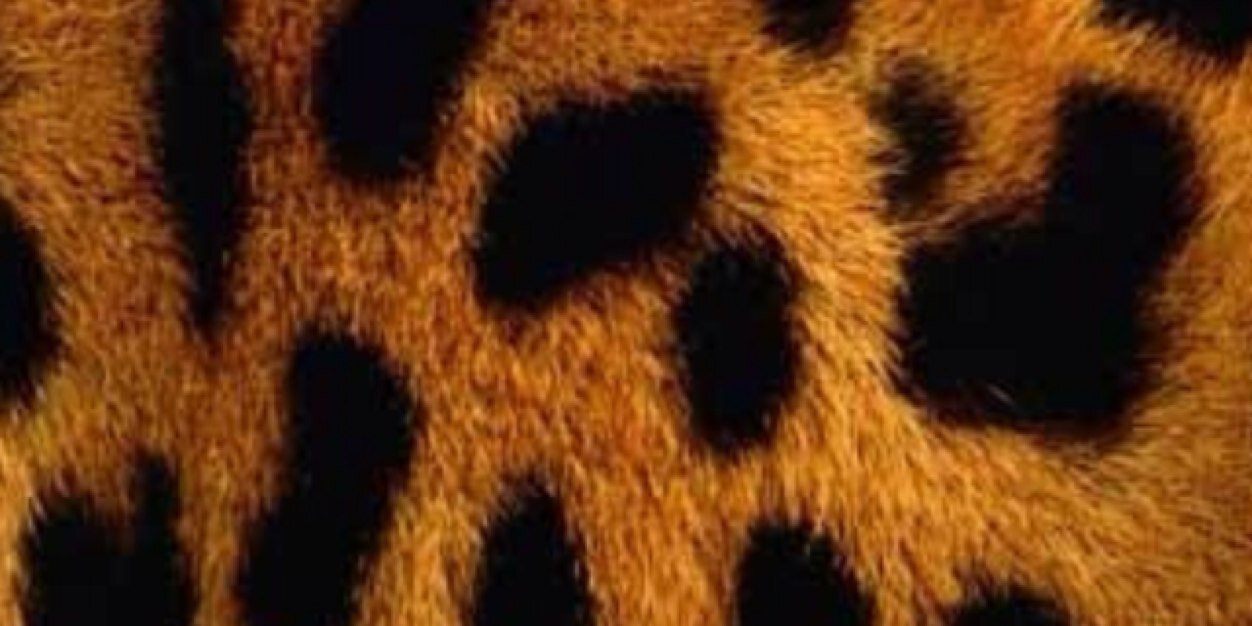 Merchedtp's profile banner image
