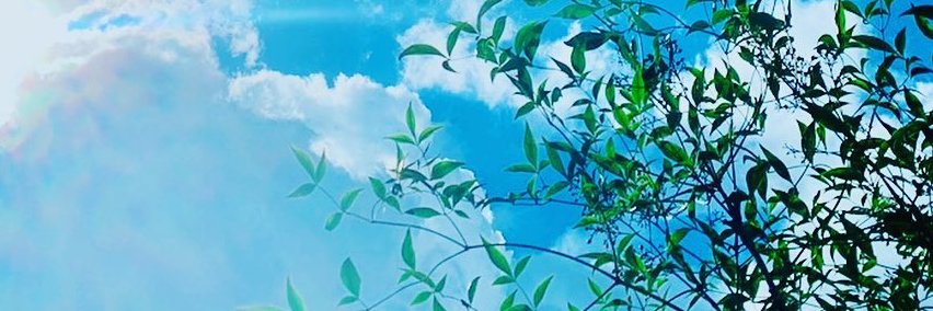まみ banner