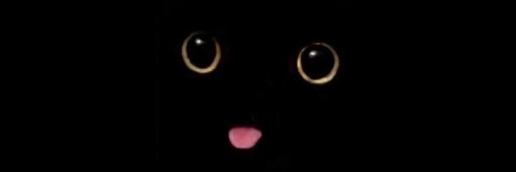 wensleyjoice's profile banner image
