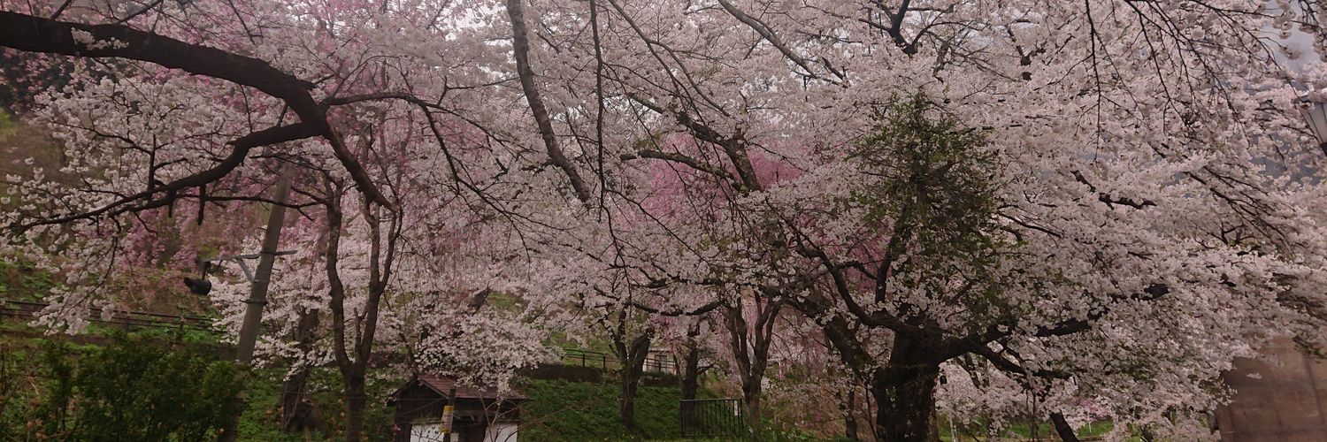 TellmeChan0806's profile banner image