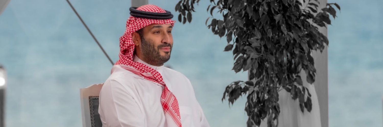 محمد السلطان banner