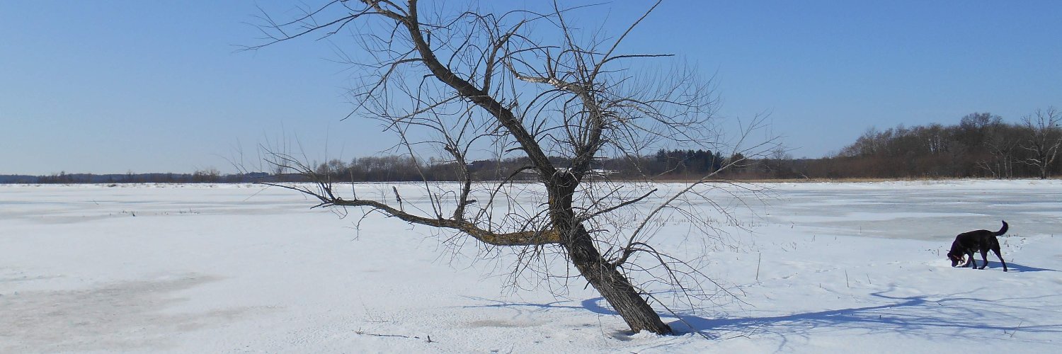 ngInstance's profile banner image