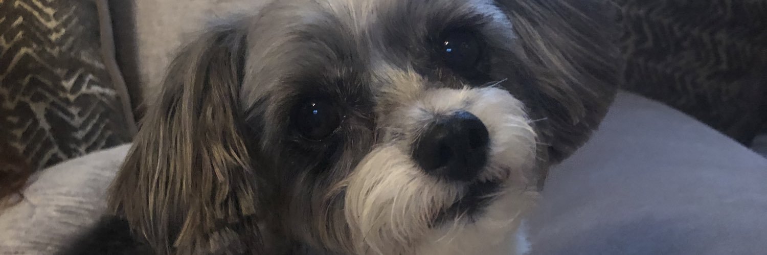 TheSheaSullivan's profile banner image