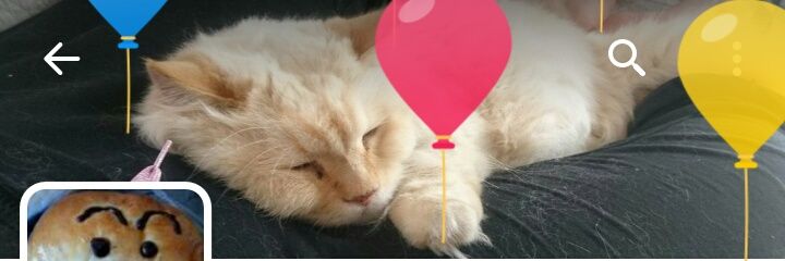 nekokan86's profile banner image
