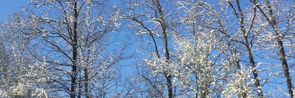 ma_0495 Profile Banner