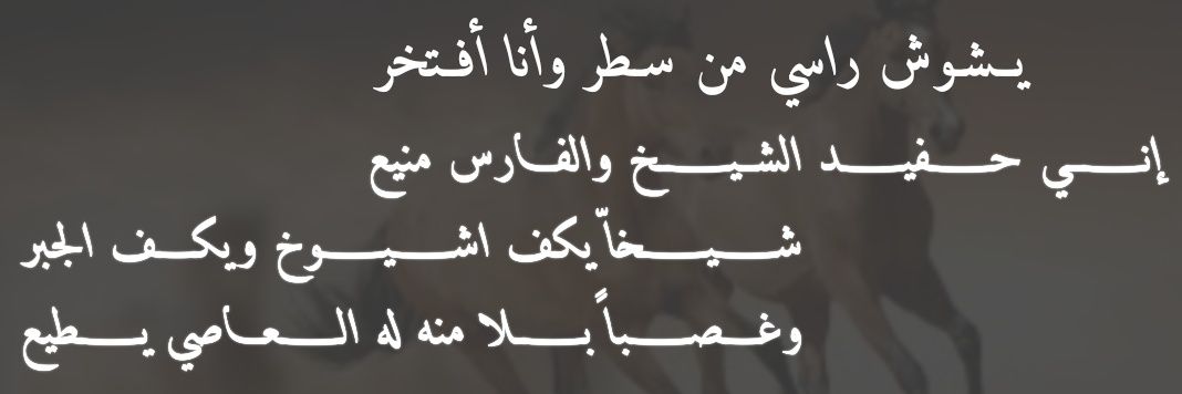 محمد الزلامي banner