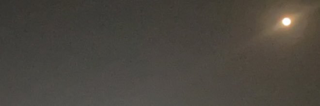 spxcebun's profile banner image