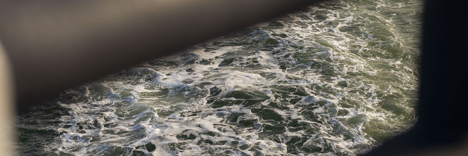 scar16's profile banner image
