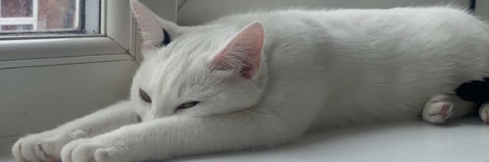emwooller97's profile banner image