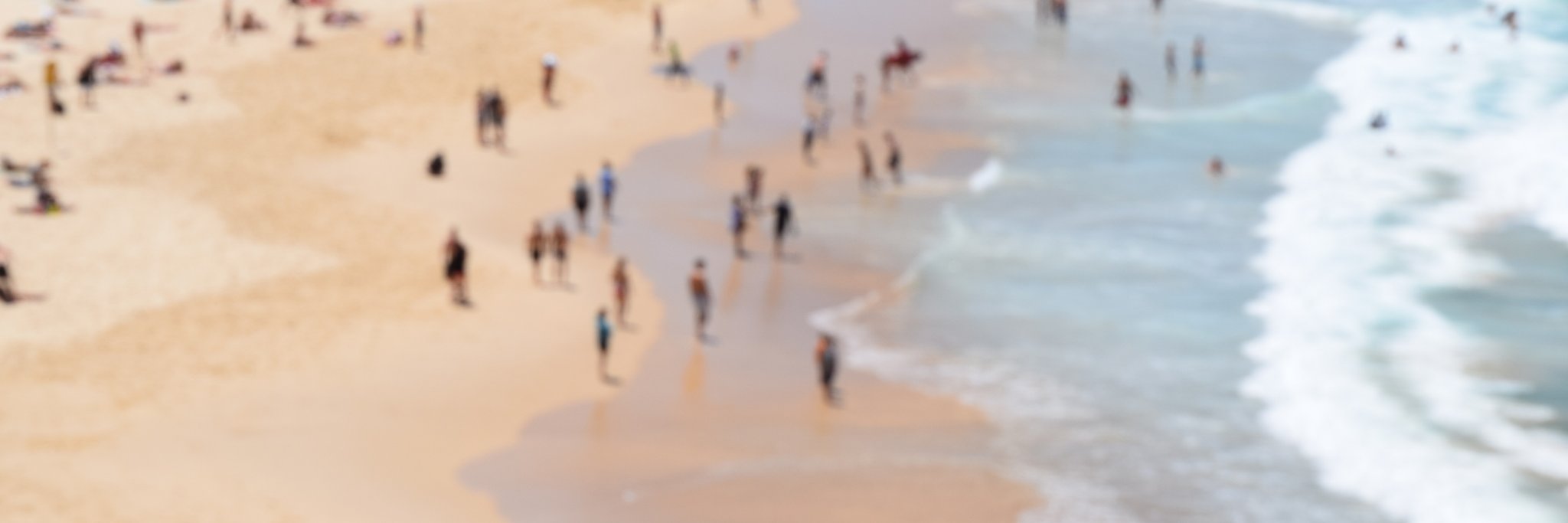 Sonia Poltoratski, PhD banner