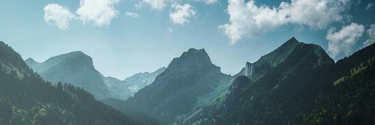 AdolfRoss77's profile banner image