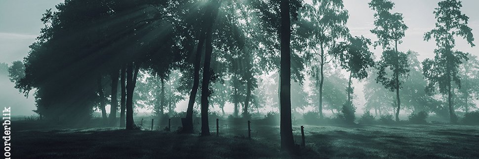 noorderblik's profile banner image