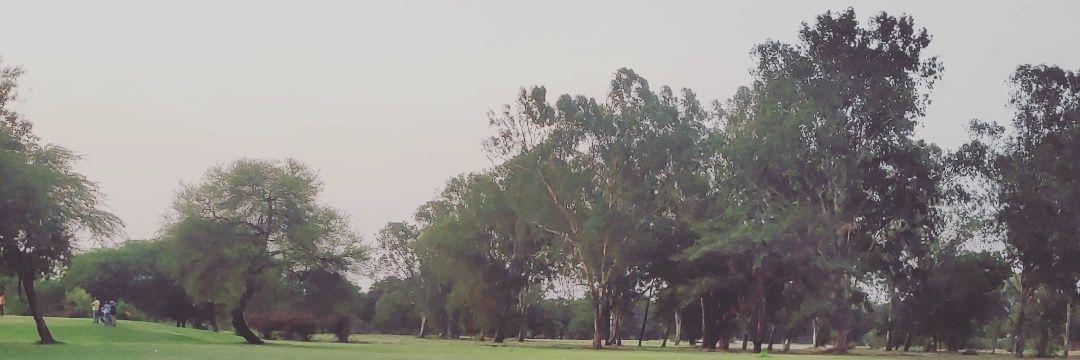 thorox29's profile banner image