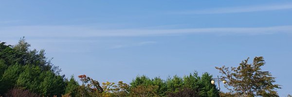 extrabitterst Profile Banner